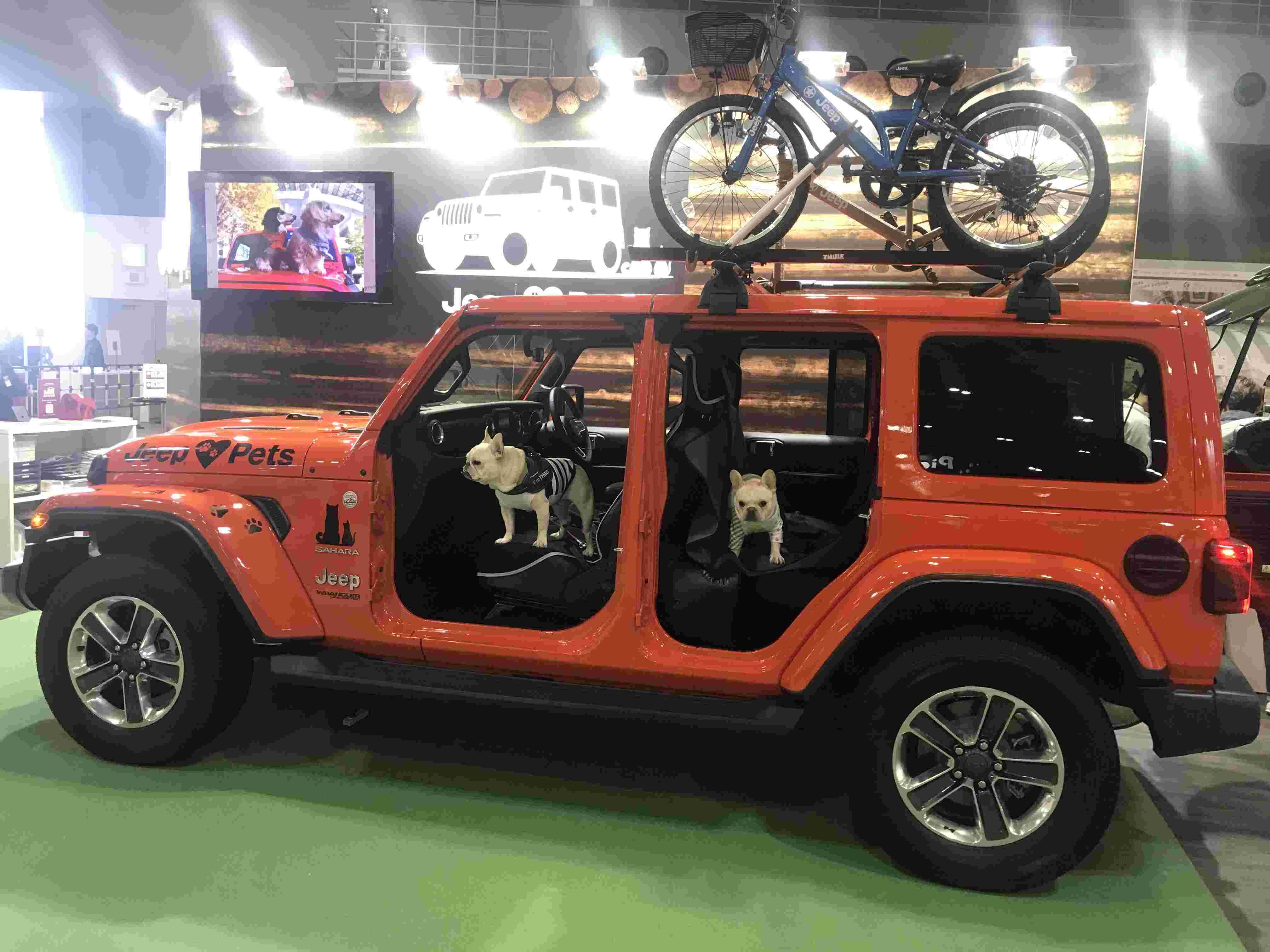 尊龙凯时·(中国游)官方网站