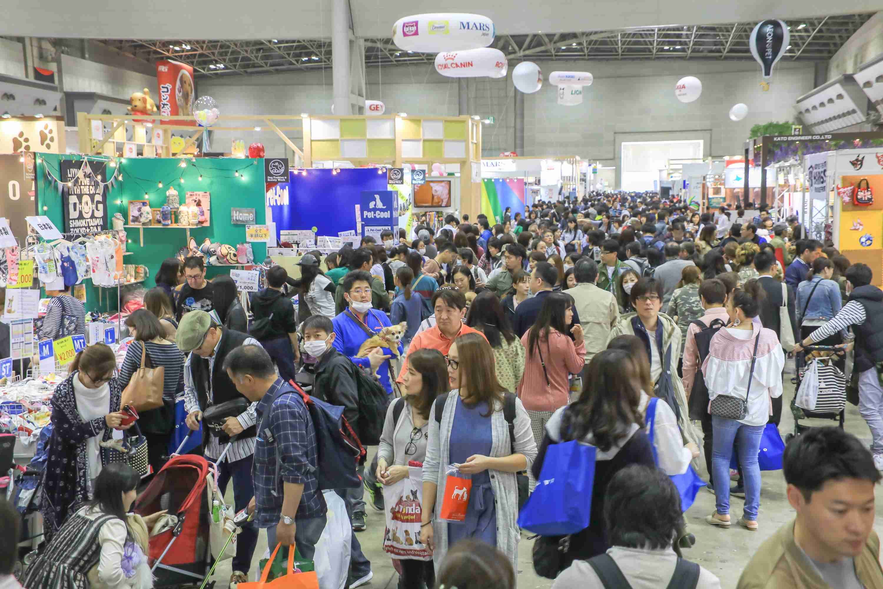 尊龙凯时·(中国游)官方网站